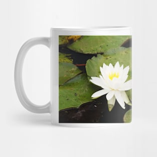 Water lily Mug